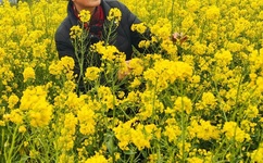 日出水了好深好涨